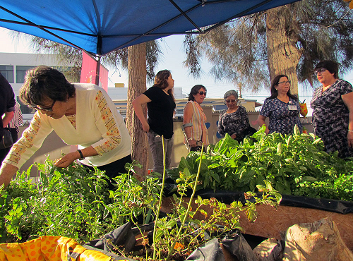 Fundación Arte Amaru ejecutó el proyecto “Ven, aprende y participa como amigo del Hospital de Arica”