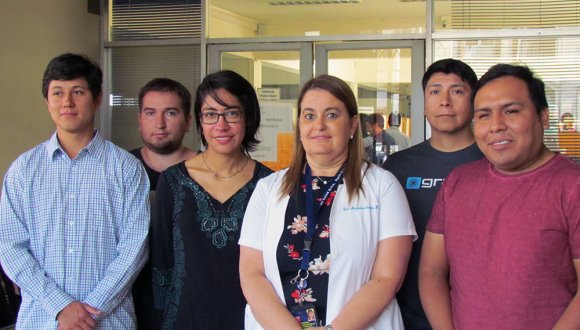 Cinco médicos en etapa de destinación y formación se incorporan a los CESFAM de la comuna de Arica