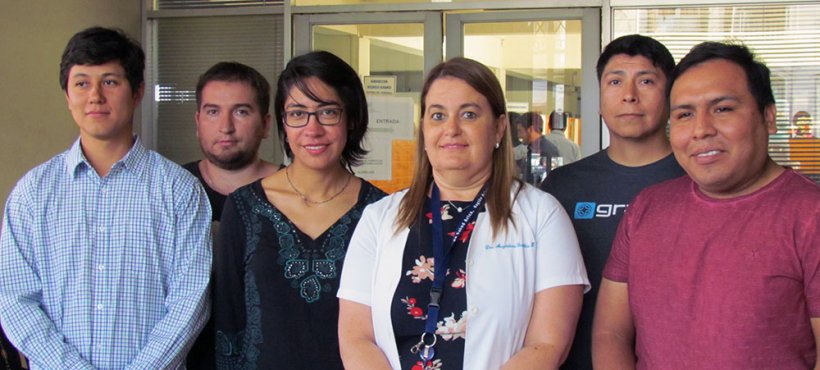 Cinco médicos en etapa de destinación y formación se incorporan a los CESFAM de la comuna de Arica