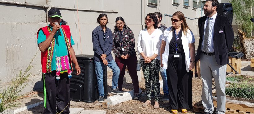 Huerto Terapéutico “Colibrí” se inaugura en Hospital Regional de Arica