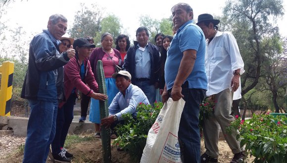 Médicos aymara de Arica y Parinacota realizaron pasantía en centro de medicina indígena de Bolivia