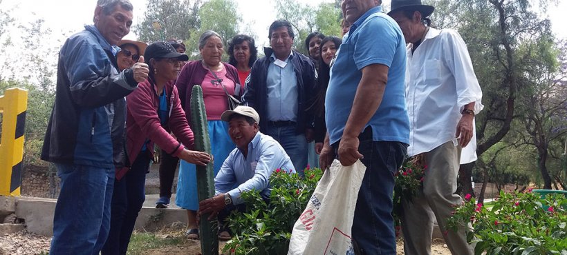 Médicos aymara de Arica y Parinacota realizaron pasantía en centro de medicina indígena de Bolivia