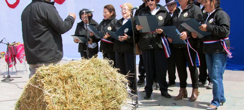 Servicio de Salud Arica celebró Fiestas Patrias con personas usuarias de la red de salud mental