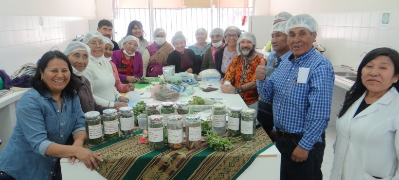 Apoyaron a qullirinaka y aprendices en Taller de sistema integrado de herbolario