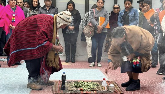 CONADI realizó segundo seminario sobre salud mental y pueblos indígenas