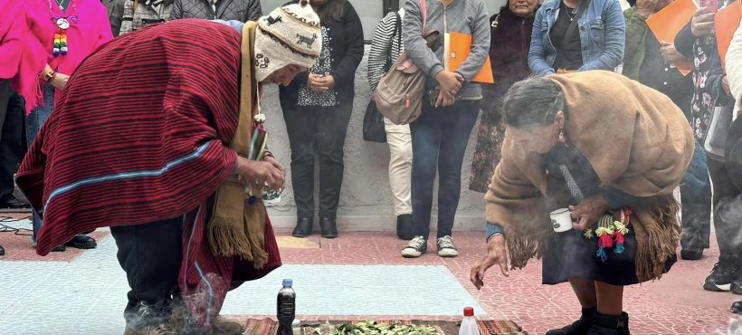 CONADI realizó segundo seminario sobre salud mental y pueblos indígenas