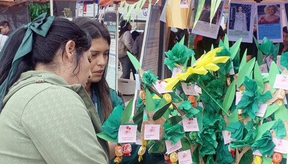 Con feria comunitaria conmemoraron dÃa mundial de la salud mental en Arica Con feria comunitaria conmemoraron dÃa mundial de la salud mental en Arica