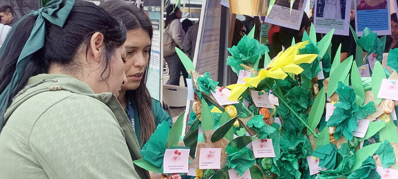 Con feria comunitaria conmemoraron día mundial de la salud mental en Arica Con feria comunitaria conmemoraron día mundial de la salud mental en Arica