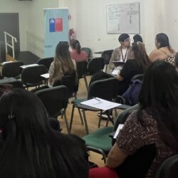 Funcionarias y funcionarios de salud de Arica se capacitan en atención respetuosa a personas de la diversidad sexual