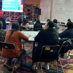 Servicio de Salud Arica y Parinacota realizó capacitación sobre trauma complejo infanto adolescente